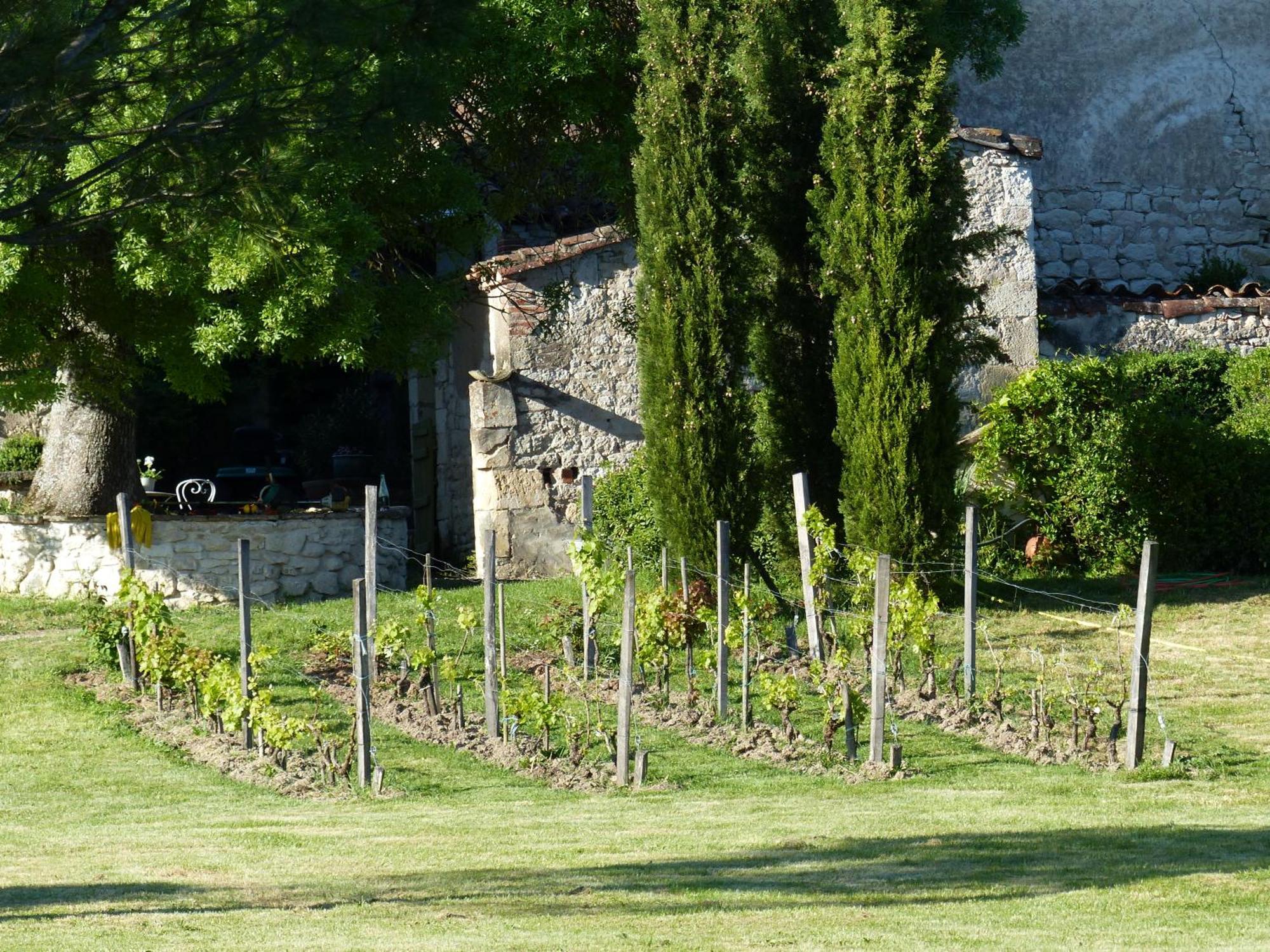 ホテル Domaine De La Monestarie - Teritoria Bernac  エクステリア 写真